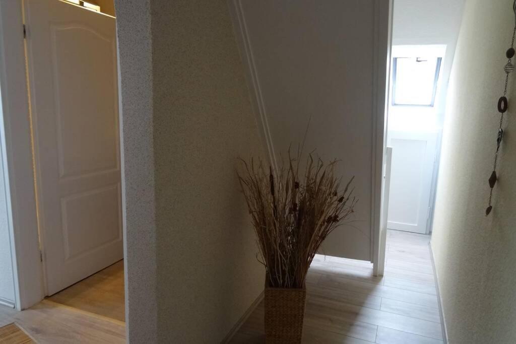 Ferienwohnung Ca 85 Qm Zzgl 17 Qm Terrasse Hannover Exteriör bild